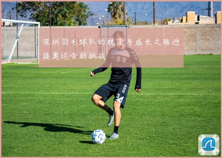 深圳羽毛球队的蜕变与成长之路迎接奥运会新挑战