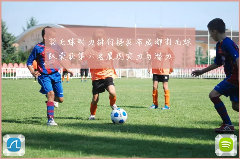 羽毛球耐力排行榜发布成都羽毛球队荣获第六名展现实力与潜力