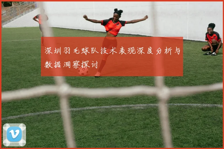 深圳羽毛球队技术表现深度分析与数据洞察探讨
