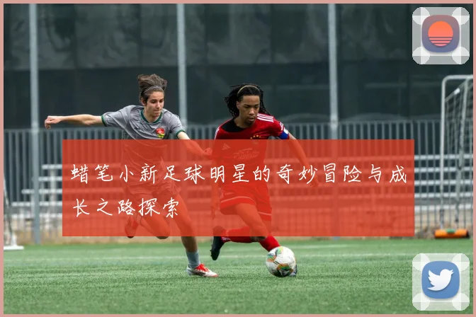 蜡笔小新足球明星的奇妙冒险与成长之路探索