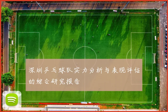 深圳乒乓球队实力分析与表现评估的综合研究报告