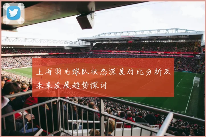 上海羽毛球队状态深度对比分析及未来发展趋势探讨