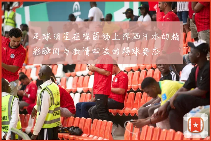 足球明星在绿茵场上挥洒汗水的精彩瞬间与激情四溢的踢球姿态