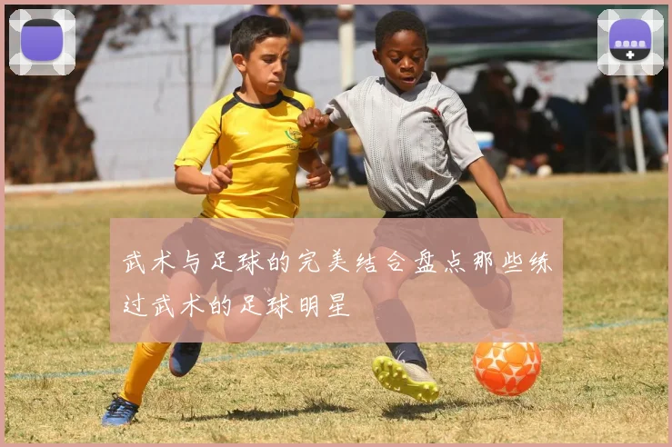 武术与足球的完美结合盘点那些练过武术的足球明星