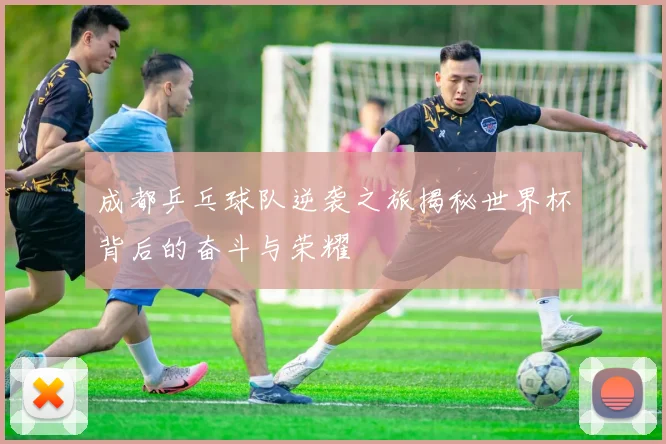 成都乒乓球队逆袭之旅揭秘世界杯背后的奋斗与荣耀