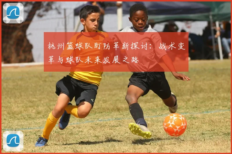 杭州篮球队盯防革新探讨：战术变革与球队未来发展之路
