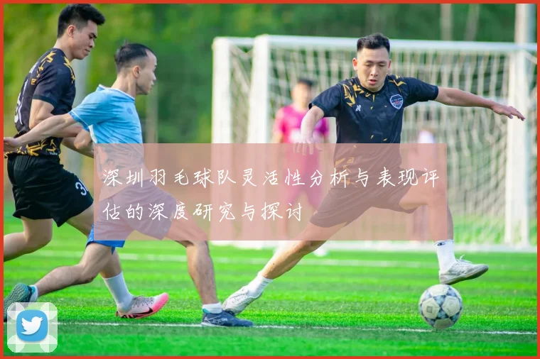 深圳羽毛球队灵活性分析与表现评估的深度研究与探讨