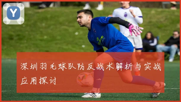 深圳羽毛球队防反战术解析与实战应用探讨